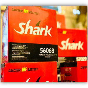 باتری 60 آمپر پایه بلند شارک